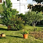 Kordic Barbat na Rabu